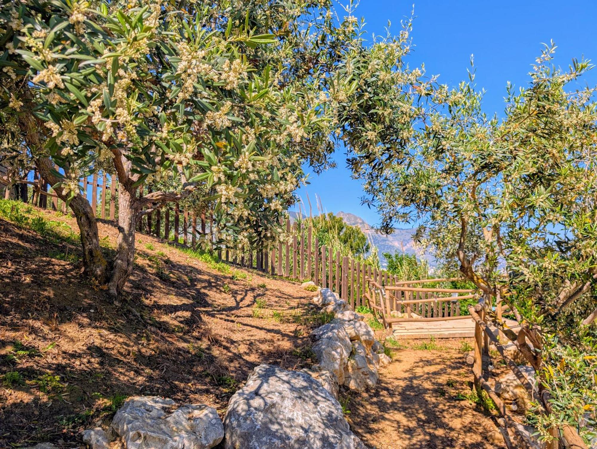ألكامو مارينا Ci Vulia B&B - Sicilia Sea, Pool, Bbq, Tv, Wi-Fi المظهر الخارجي الصورة
